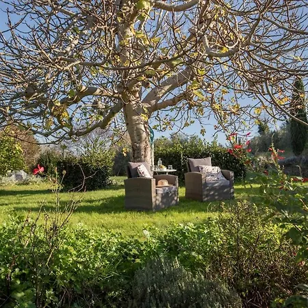 Appartement Ginger House Usigliano
